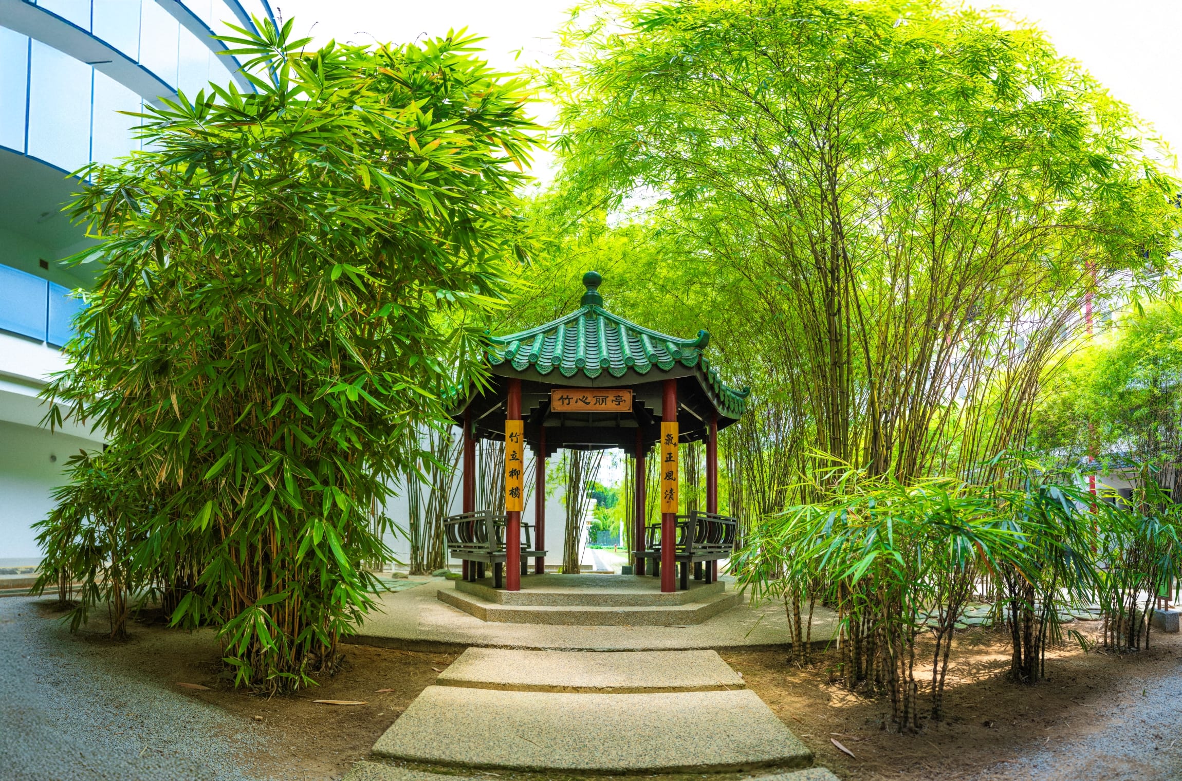 Bamboo Garden